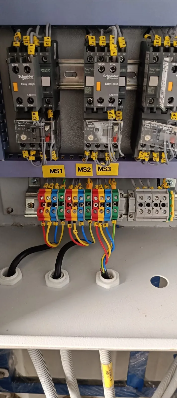 Control panel internals with Schneider contactors, overload relays and ferruled wiring